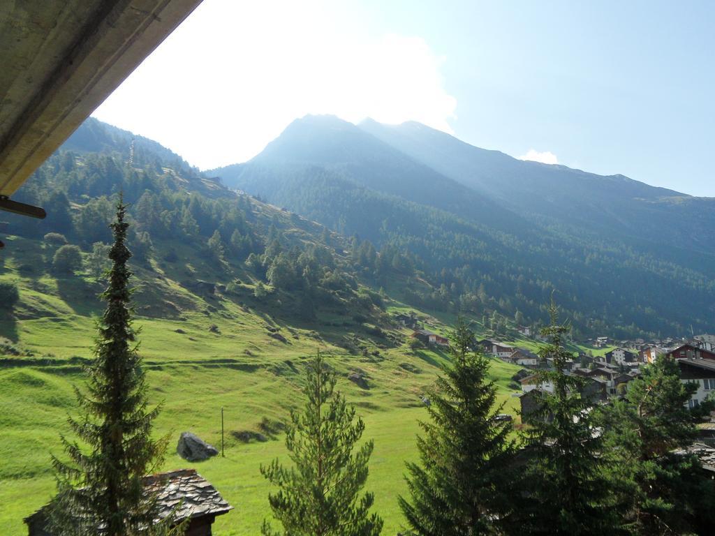 अपार्टमेंट Monte Rosa