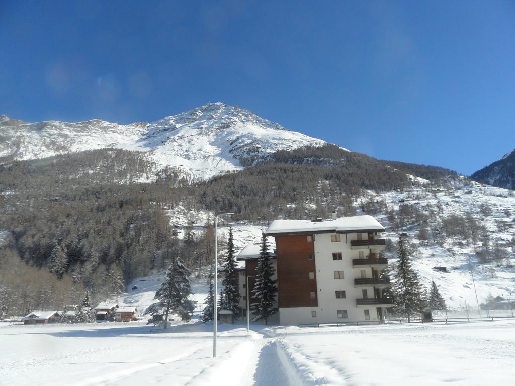 Apartment Monte Rosa *